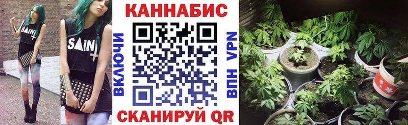 Шишки марихуана ГИДРОПОН  Купить где  Богородицк 